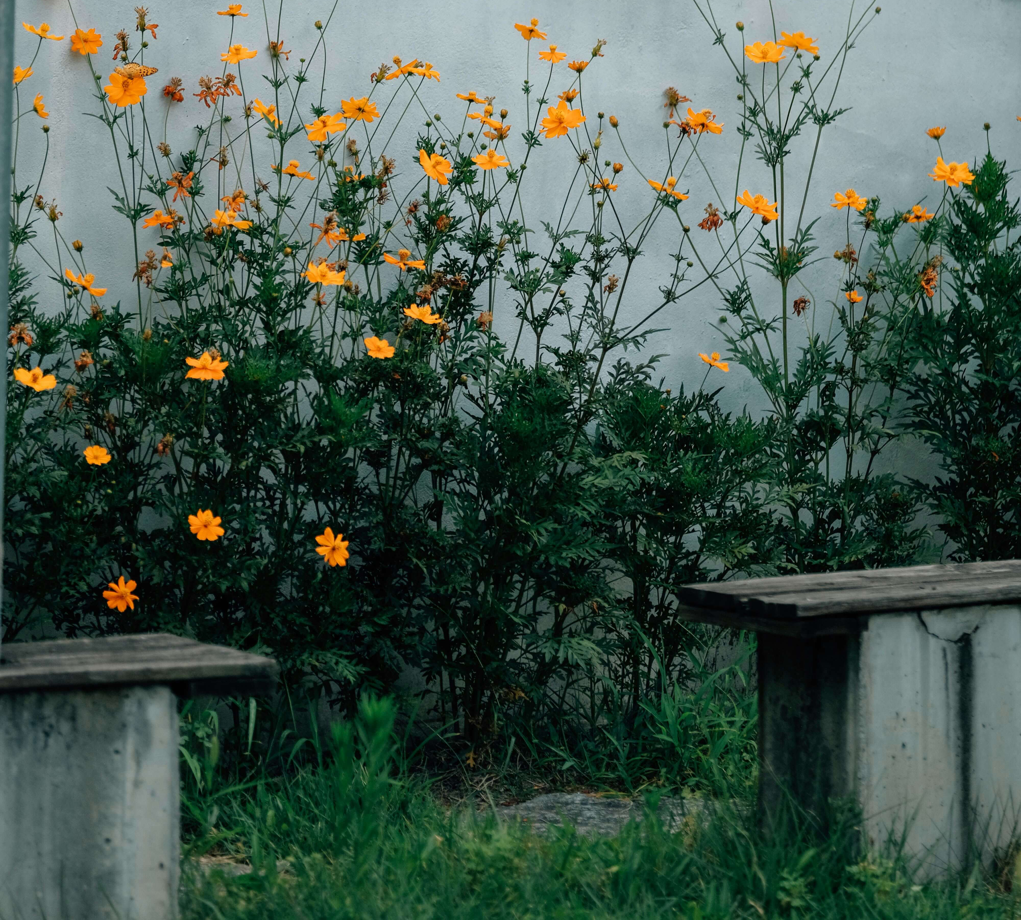 한국의 근현대 건축물