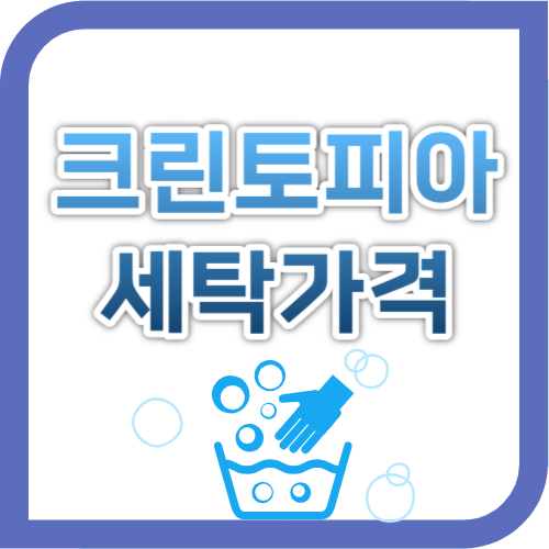 크린토피아 세탁가격