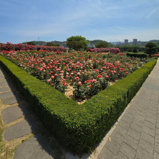 삼척장미공원