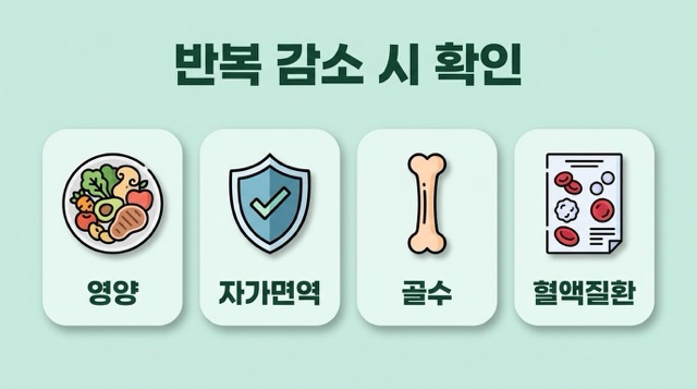 백혈구 수치 낮은 원인 영양 부족 자가면역 골수 기능 혈액질환