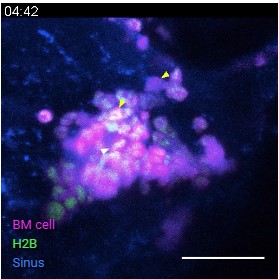 아이빔테크놀로지 공모주 청약