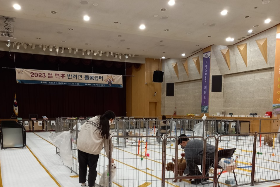 노원구 명절 연휴 반려견 돌봄쉼터