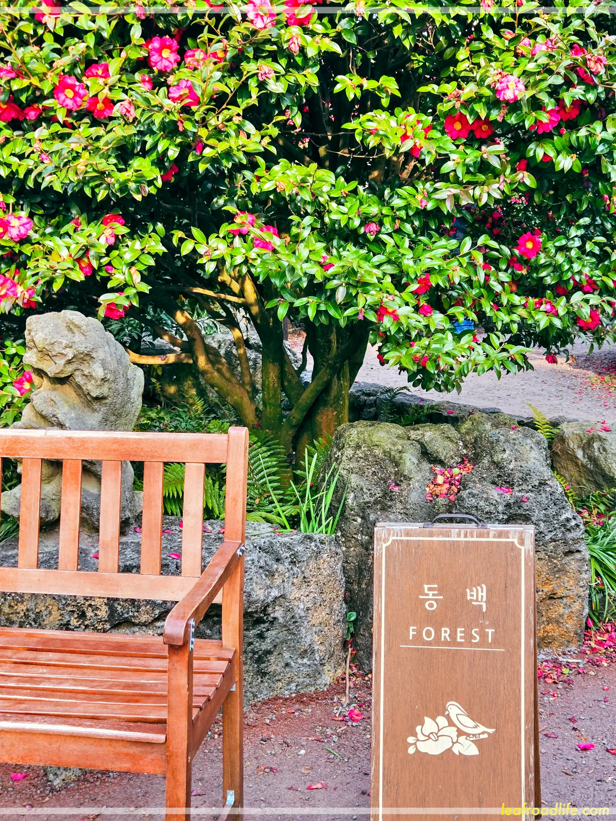 제주-동백포레스트-입구-앞-간판