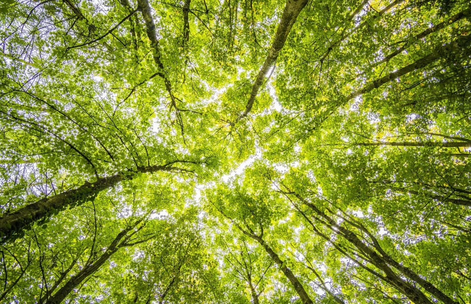 동두천 자연휴양림