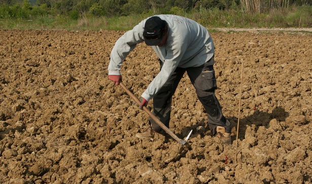 청년영농정착지원금 관련 사진