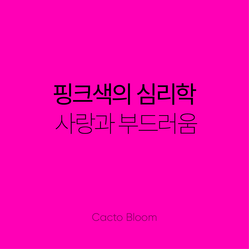 핑크색의 심리학: 사랑과 부드러움