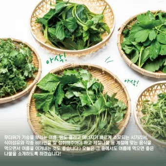 여름나물 종류 10가지 여름 제철 나물 반찬_5