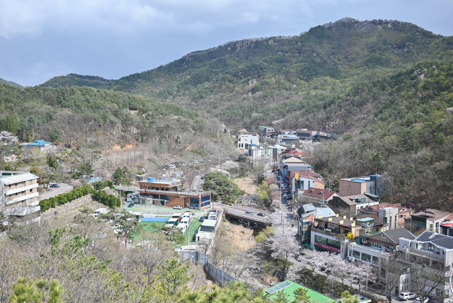 안양예술공원은 벚꽃 명소