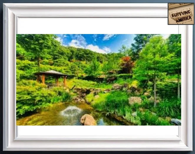 모노레일 운영1