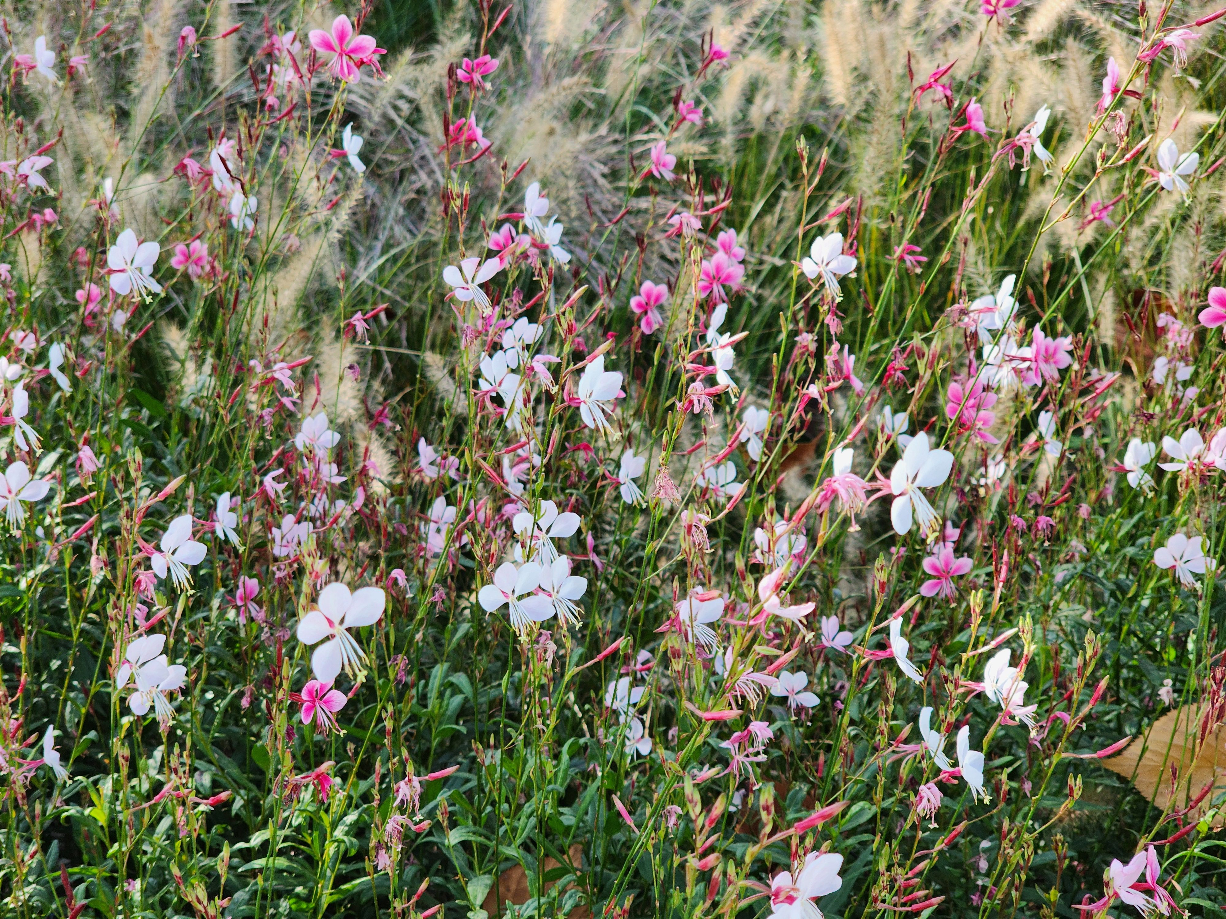 Alt 속성 문제 해결 설명 이미지