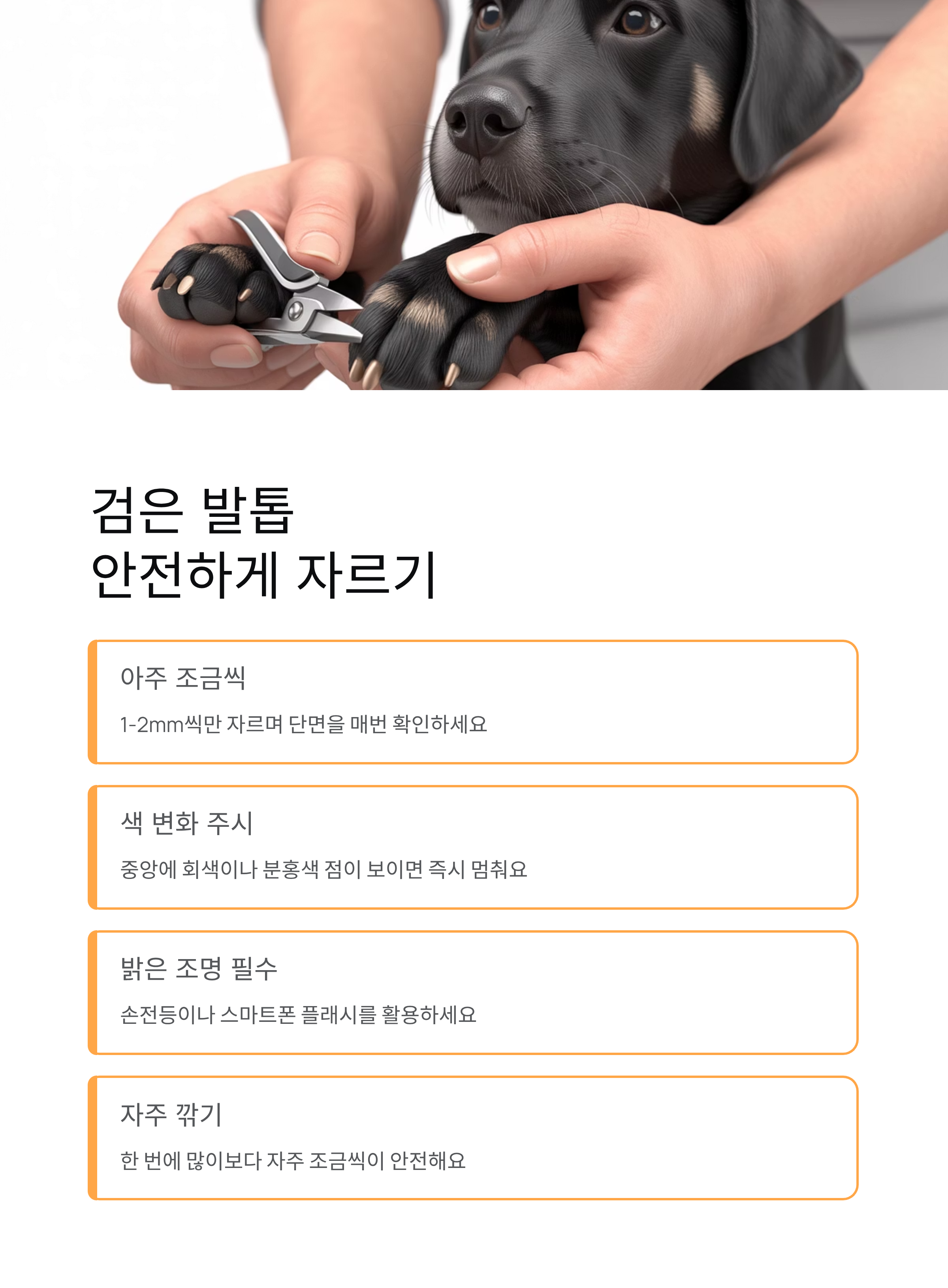 강아지 발톱깎기 ❘ 방법 주기 혈관 지혈 집에서 안전하게 자르는법 총정리