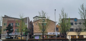 외국인 부동산 투기차단 정책