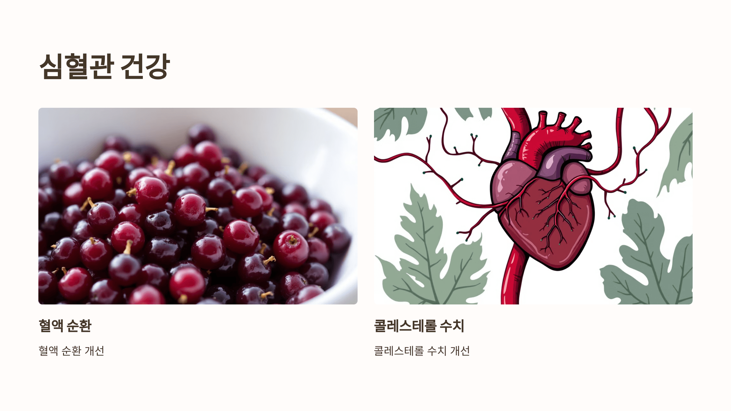 오미자 사진입니다.