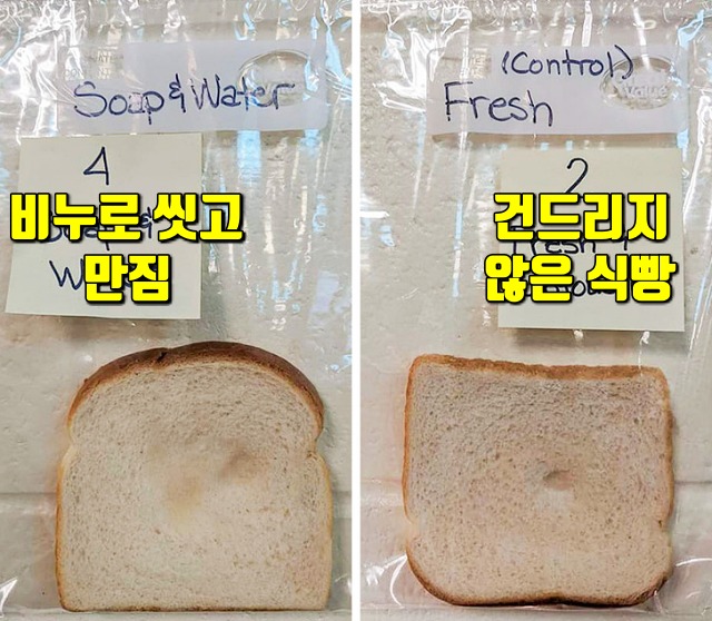 코로나 예방 비누 효과