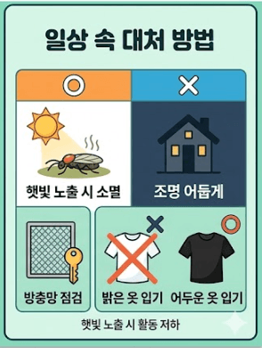 일상 속 태처 방법