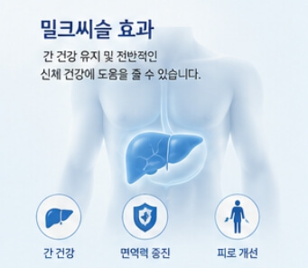 밀크씨슬 효과와 복용법