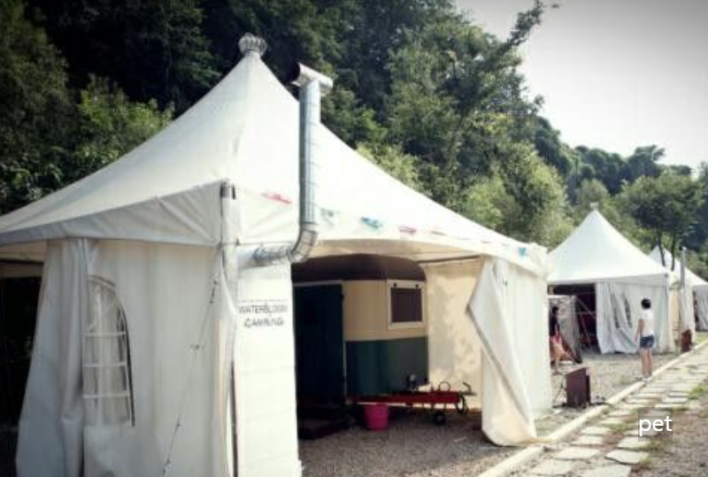 경기-연천-물꽃캠핑장-예약-방법-애견-동반-가격-주소-시간-후기