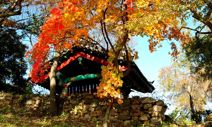 부모님과 떠나는 부여 효도 여행 코스