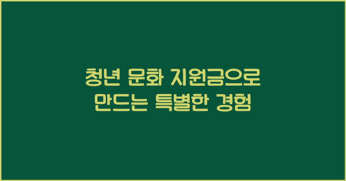 청년 문화 지원금