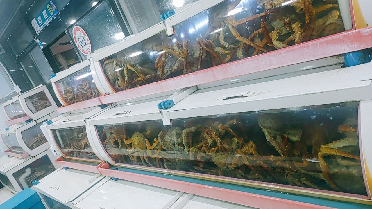 포항 호미곶 맛집 바다랑대게