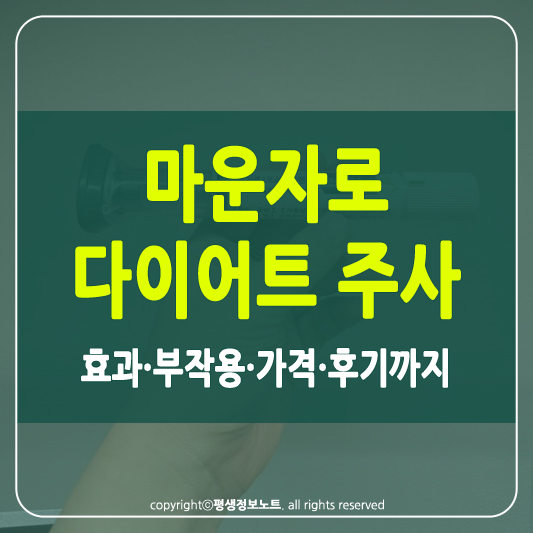 마운자로 효과 썸네일