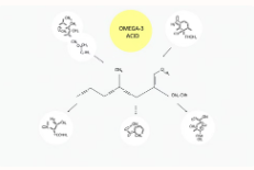 대마종자유 효능