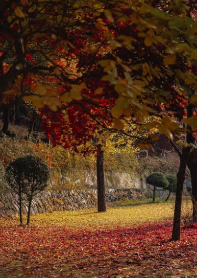 충북-제천-가볼만한 곳-배론성지-청풍호반케이블카