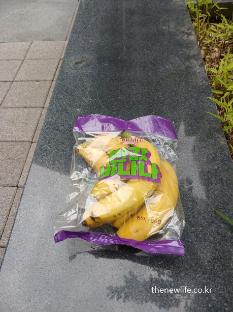 운동 중간에 구매한 바나나 &ndash; 휴대하며 먹기 좋은 다이어트 간식