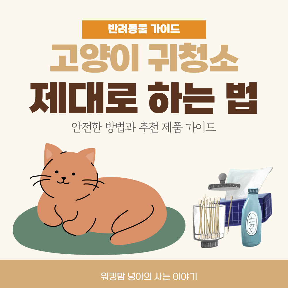 고양이-귀청소-포스팅-대문-이미지