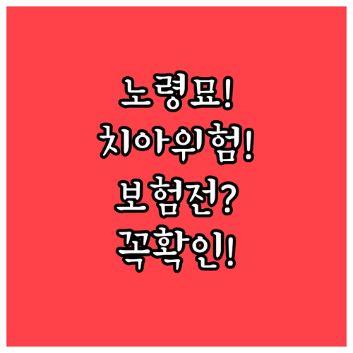 노령묘 치아 질환, 보험 가입 전 알..