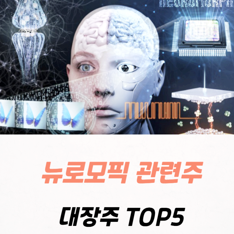 뉴로모픽 반도체 관련주 대장주 테마주 수혜주 TOP5