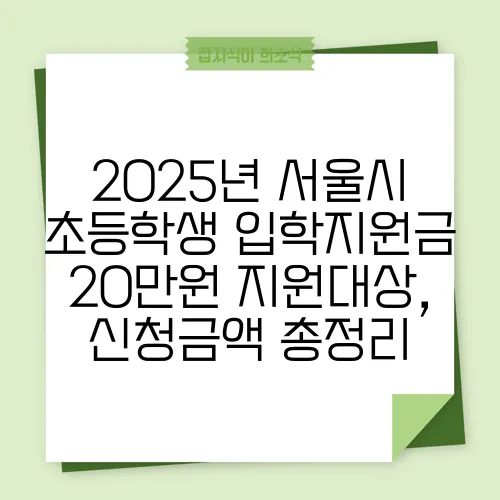 2025년 서울시 초등학생 입학지원금 20만원 지원대상, 신청금액 총정리