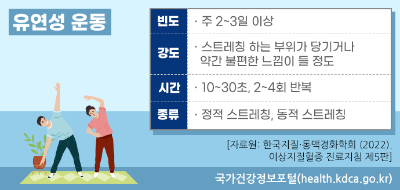 유연성 운동
