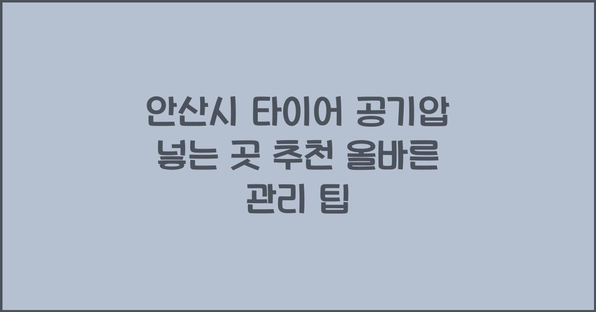 안산시 타이어 공기압 넣는 곳