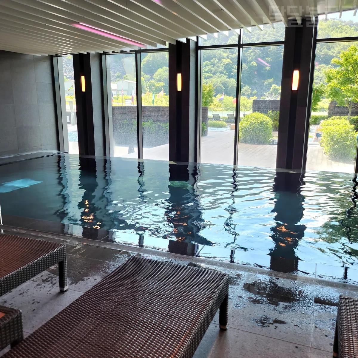 정선-파크로쉬-실내수영장