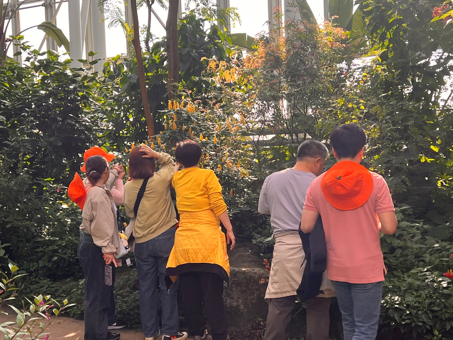 온실에서 식물과 교감하는 참가자들의 모습