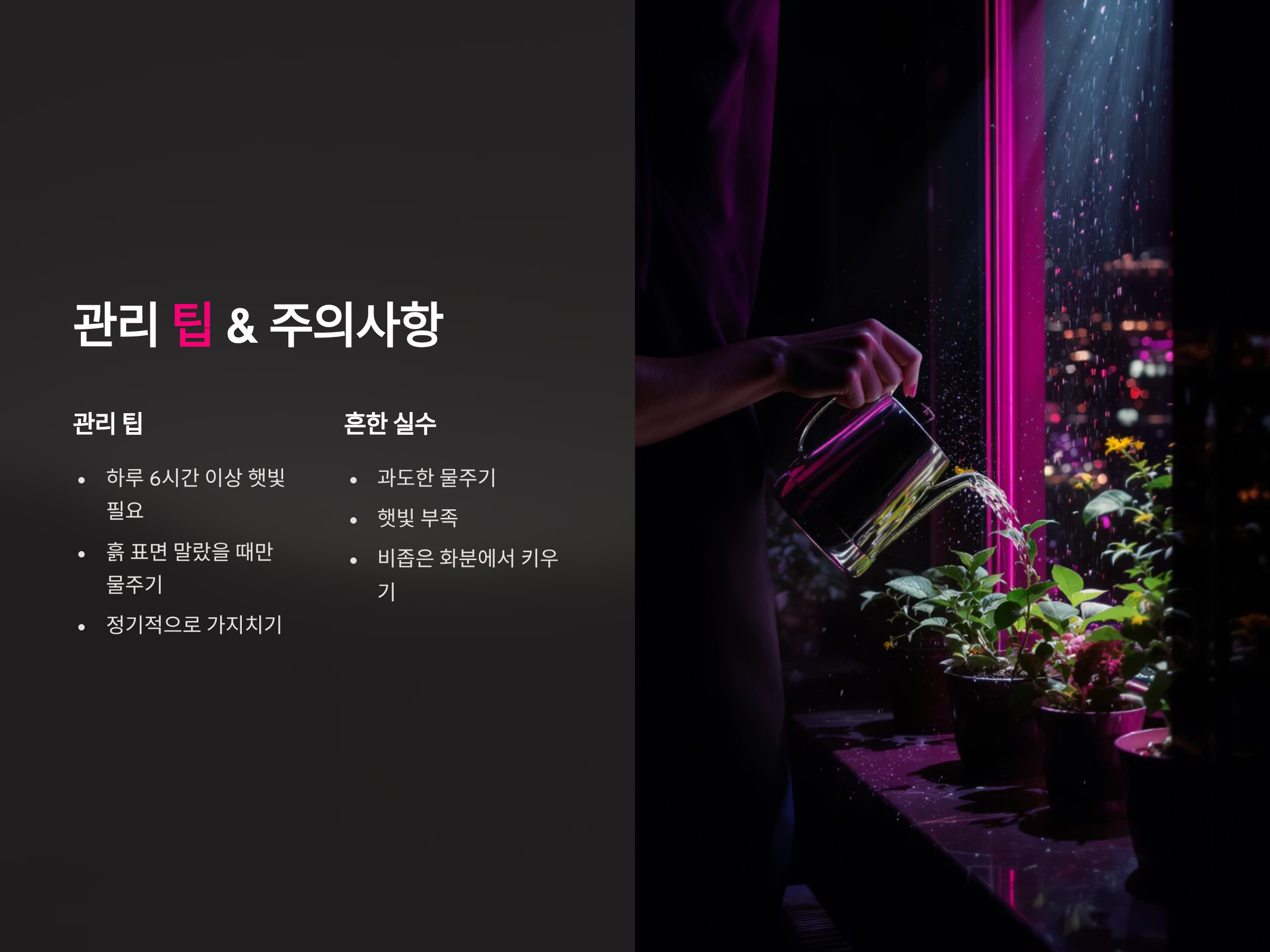 허브 키우며 주의할 점과 흔한 실수