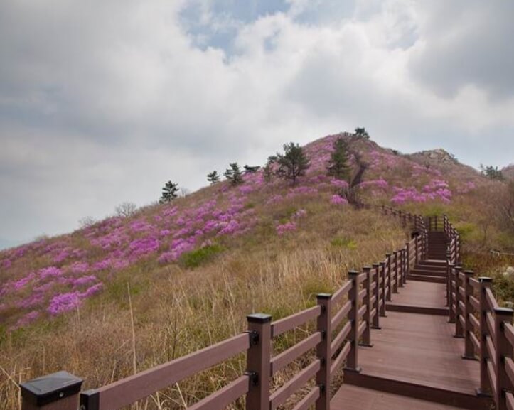 고흥 가볼만한곳 베스트 10