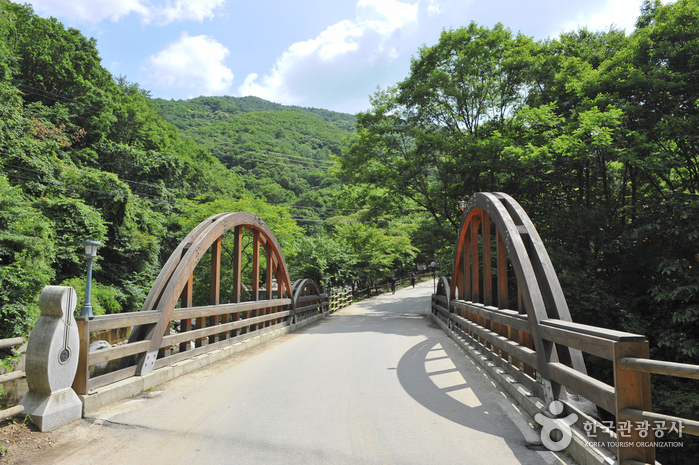 가평 가볼만한곳 베스트10