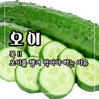 오이 효능과 부작용 및 먹는법