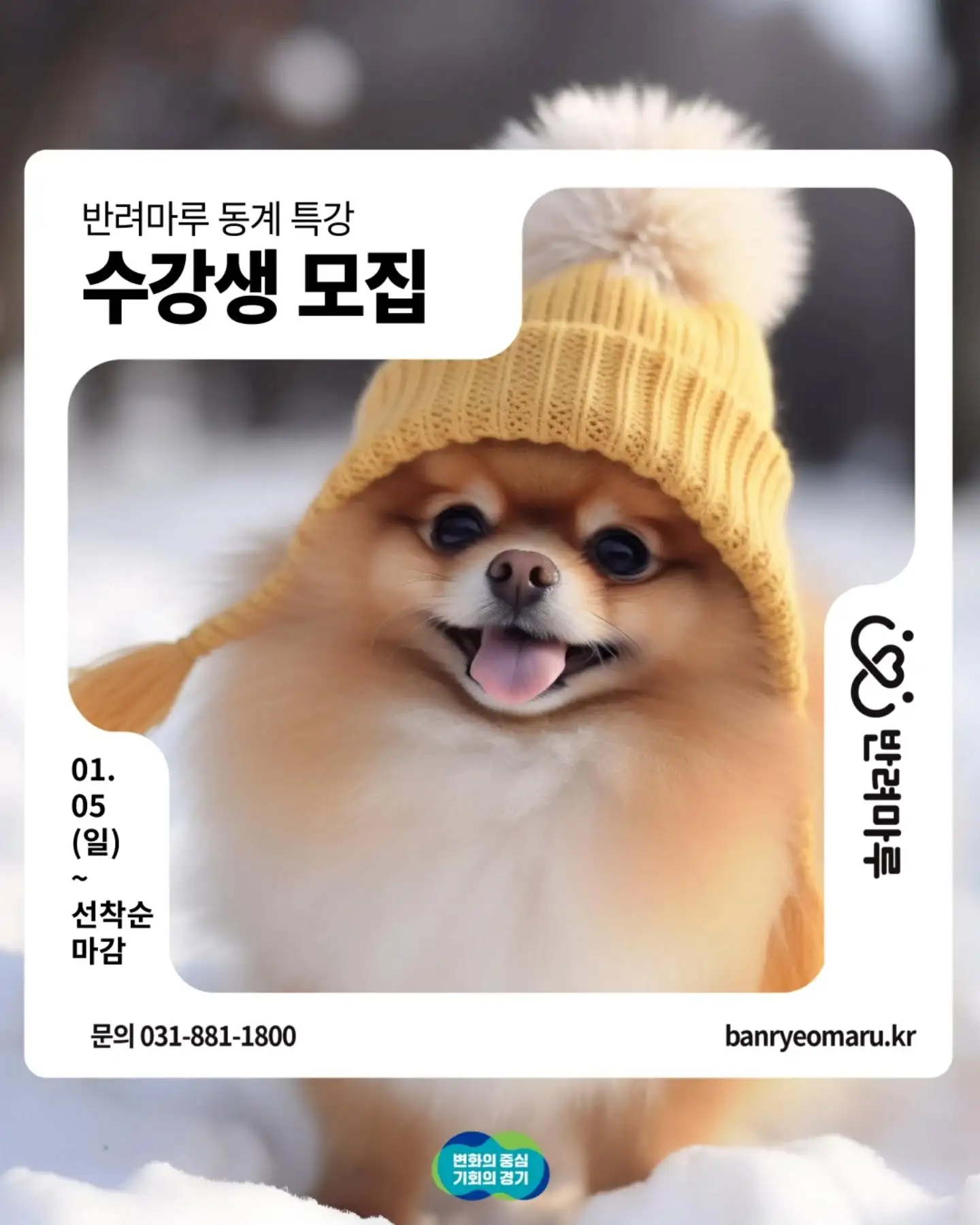 반려마루 여주 &lt;반려동물 동계특강&gt; 소개! [신청 기간 방법 대상 인원 강아지 고양이]