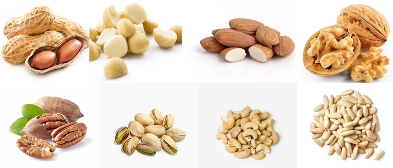 견과류 효능 및 칼로리 비교 - 땅콩, 마카다미아, 아몬드, 호두, 피칸, 피스타치오, 캐슈넛, 잣