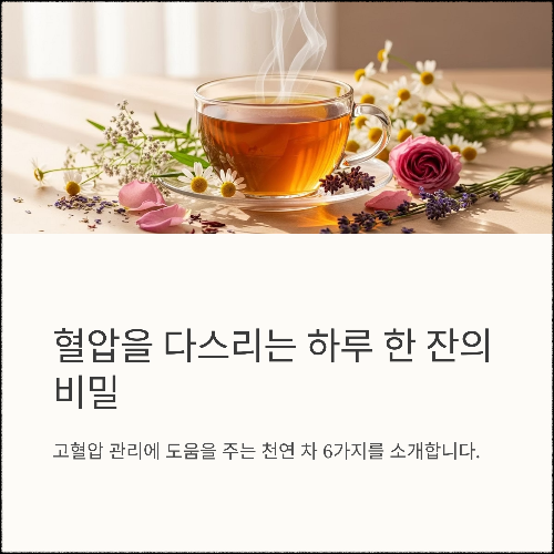 혈압을 다스리는 하루 한 잔, 자연이 준 건강한 차의 힘