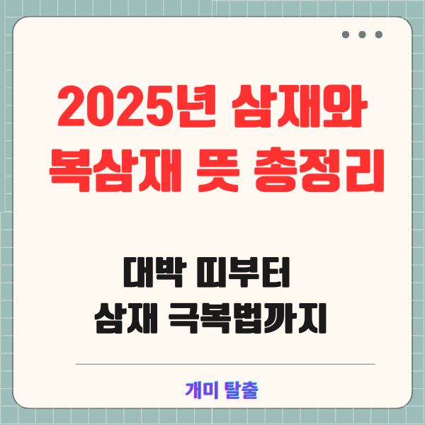 2025년 삼재와 복삼재 뜻 총정리: 대박 띠부터 삼재 극복법까지