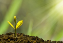 명상 초보자를 위한 쉬운 시작 가이드