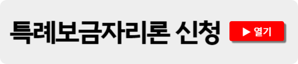 특례보금자리론