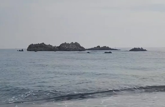 [국내 섬여행 추천] 경주시 감포 문무대왕릉 근처 맛집, 카페, 숙소