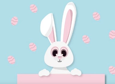 2026년 범띠 신년운세 무료 확인