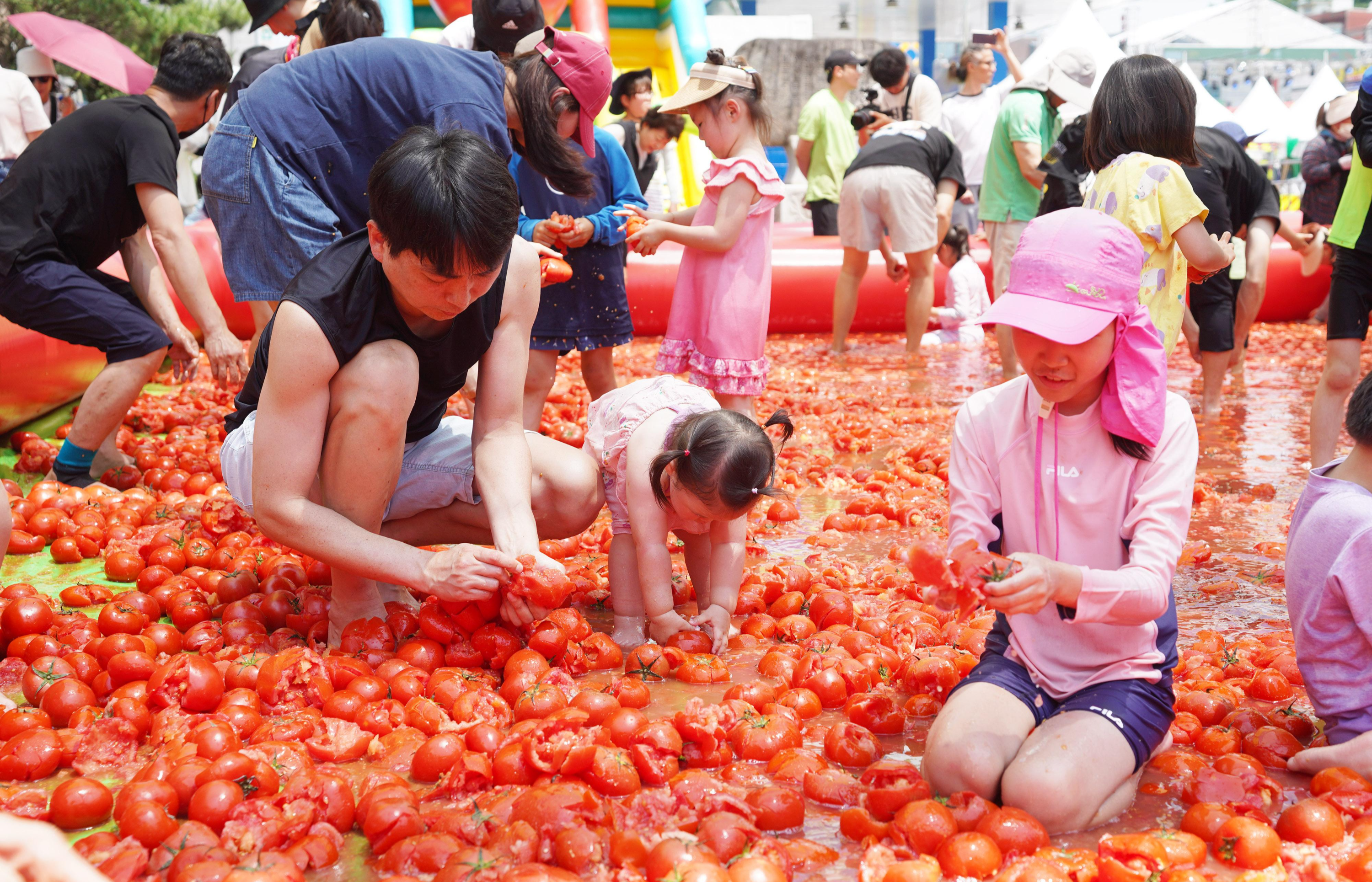 퇴촌 토마토축제