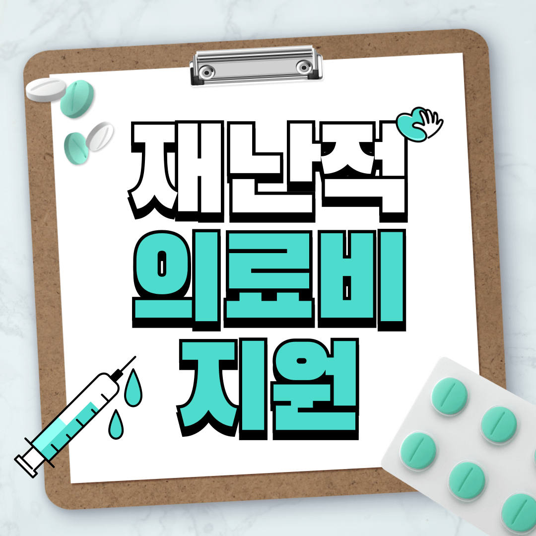 재난적의료비지원